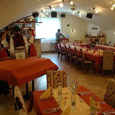 Zlaty Jelen Gasthuis 3*