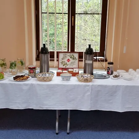 Zlaty Jelen Pensjonat Koszyce