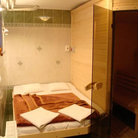 Zlaty Jelen Guest house