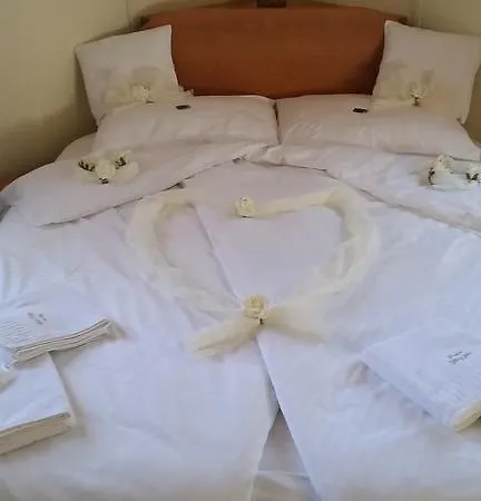 Pensjonat Zlaty Jelen