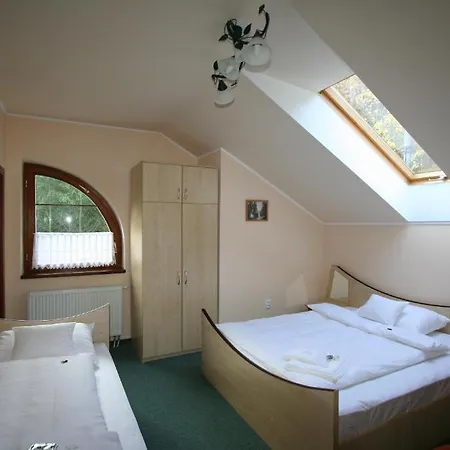 Zlaty Jelen Affittacamere 3*