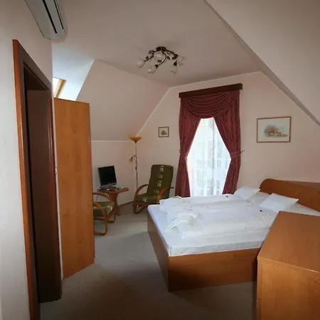 Zlaty Jelen Guest house