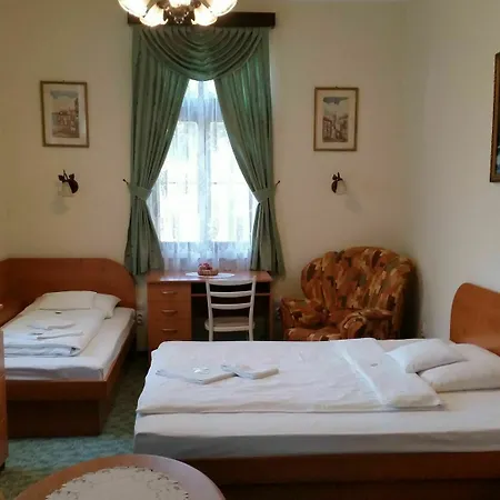 Pensjonat Zlaty Jelen 3*