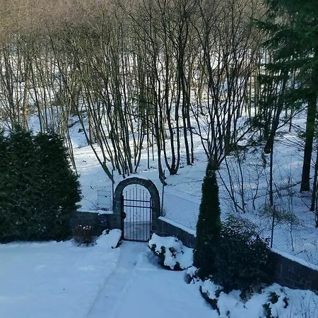 Zlaty Jelen Guest house